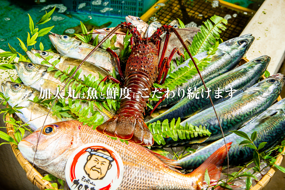 紀州 加太丸は魚と鮮度にこだわり続けます